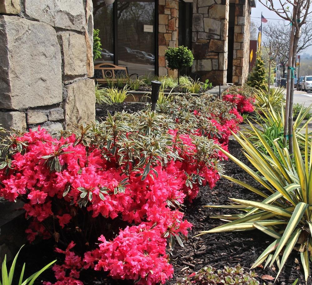 Best Western Queens Gold Coast Nova York Exterior foto